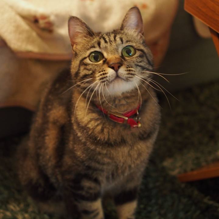 Ddf16337 12ce 46d7 9bb5 34c4a4a2e896 1592558518140