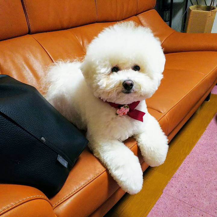 Ddf16937 f8b8 49db 9466 4ac6fa16115a 1553661886096