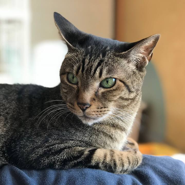 Ddf18685 85ae 4788 9645 0c953e59ffbb 1521251015906