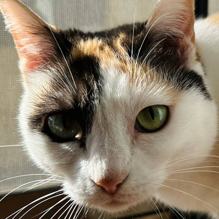 Ddf20662 9068 4fb2 832e fa533d2b3726 1711765066640