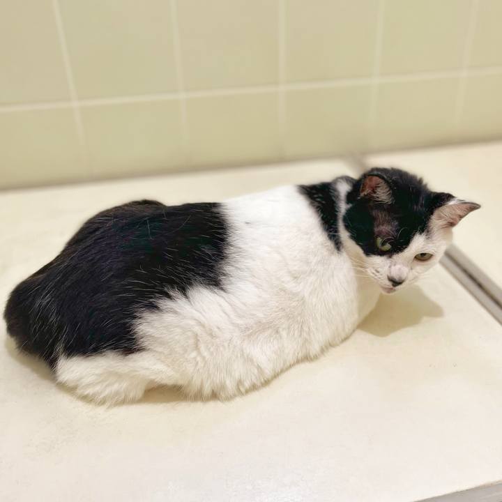 Ddf2248a 95c8 4a37 a1c2 2e50441d3983 1758946379388