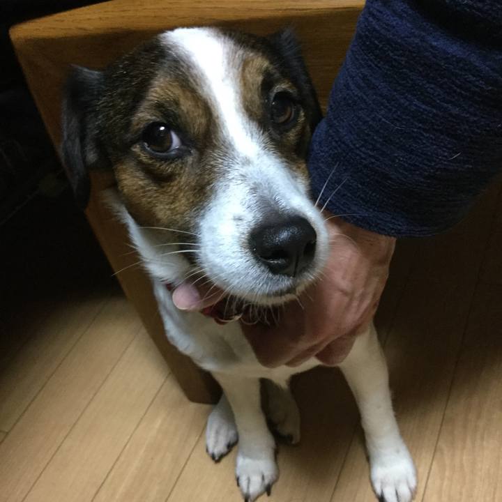 Ddf298c8 02ab 44c7 a58b 80fe8211479c 1514280593057