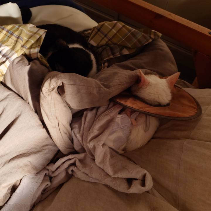 Ddf2ba73 4aae 4200 a4ea 919a299f8b0c 1765252883937