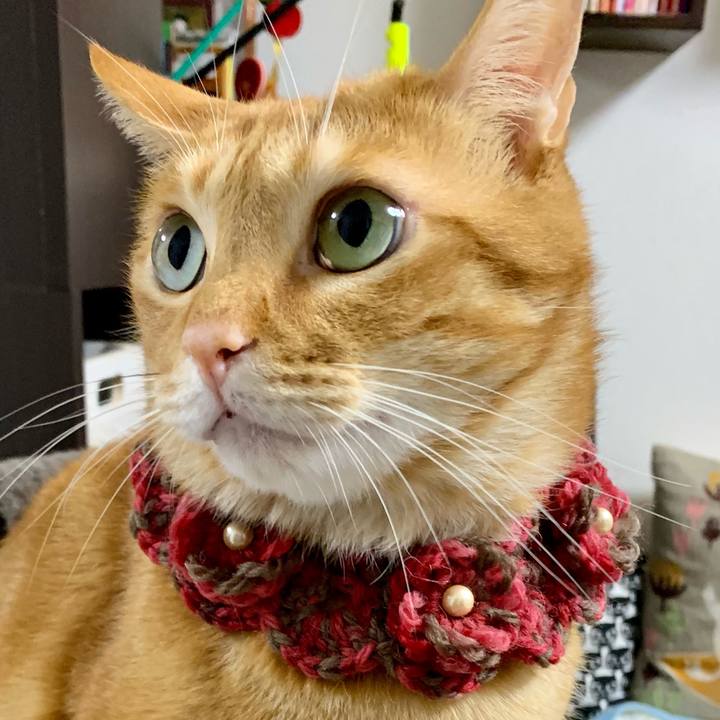 Ddf2bb36 fe0a 4175 b3d8 4a32715086de 1633741751763