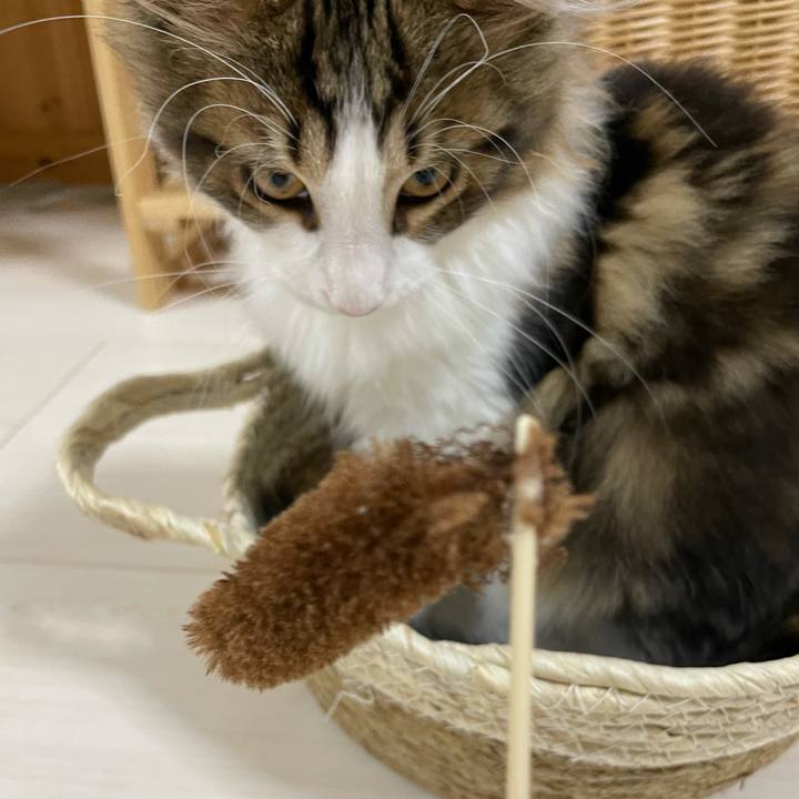 Ddf2dd89 b5d1 408a 963d 5b346afa01cf 1635509993367