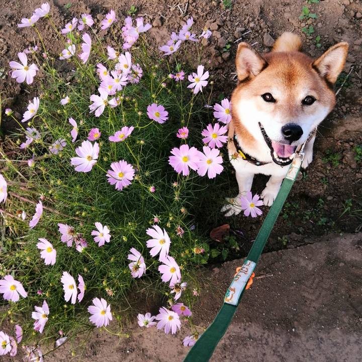 Ddf314a1 05b0 4df5 b6d6 07faacd6e542 1632900506158