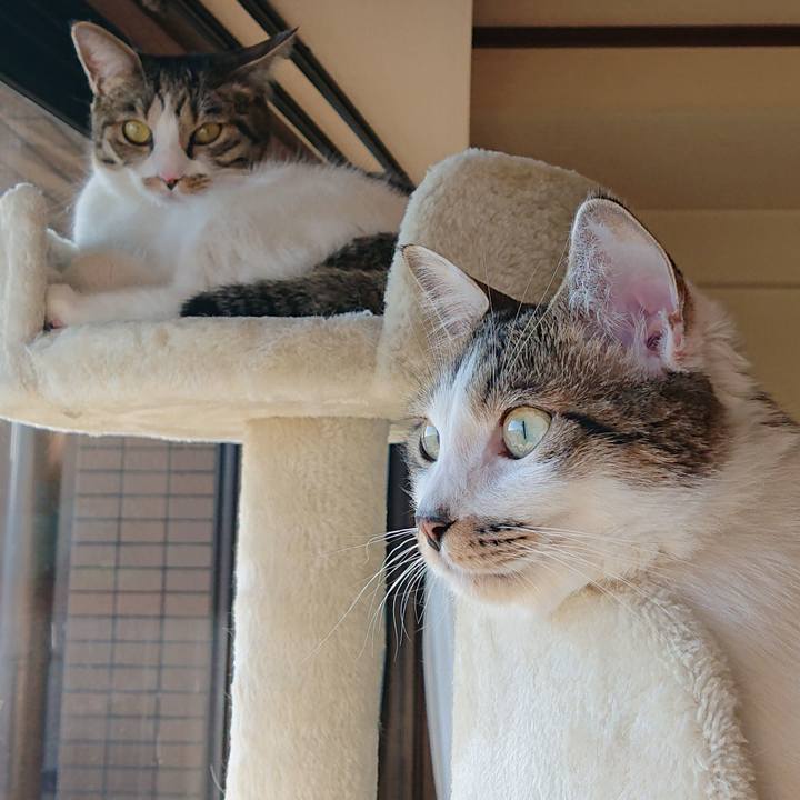 Ddf32f07 acf1 40b4 9576 9e5c6d868d42 1581478120585