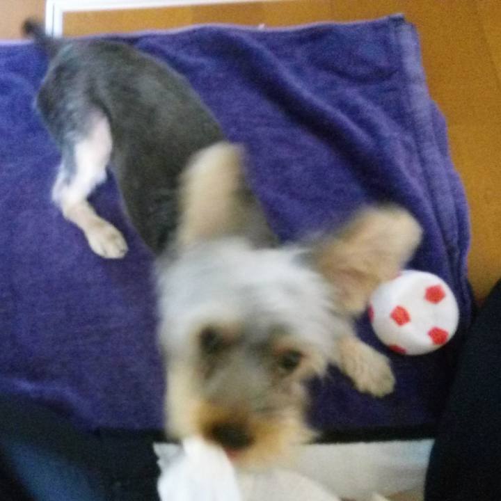 Ddf34193 5708 4f84 8970 00bd04046f4f 1535114477852