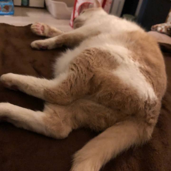 Ddf34409 58c5 46fe b0f9 5ca94ad43aec 1628512563544