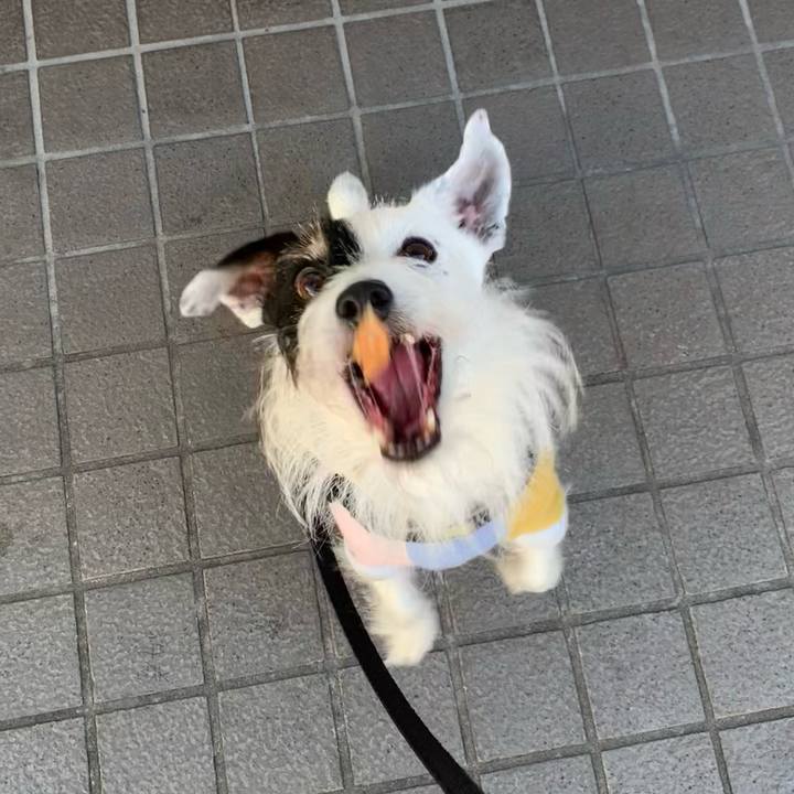 Ddf363d7 95f8 453e 92ee d45ecfdfb7cd 1702775741841