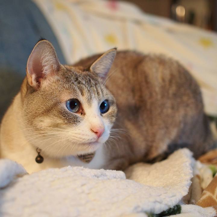 Ddf36613 79f2 44e8 8f8e 59a7ec2971b3 1581517815293