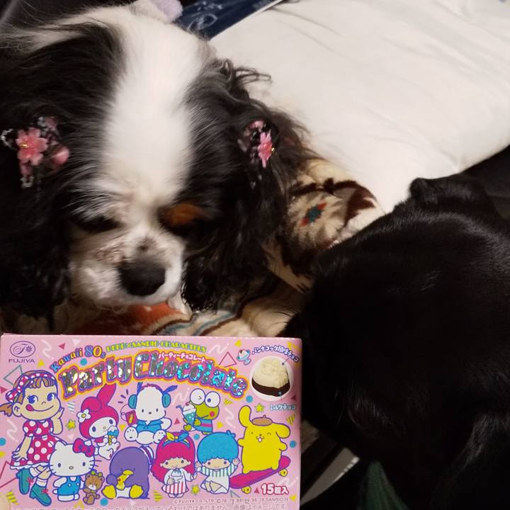 Ddf376f6 3b0c 401e ab32 933048264f9b 1553600941478