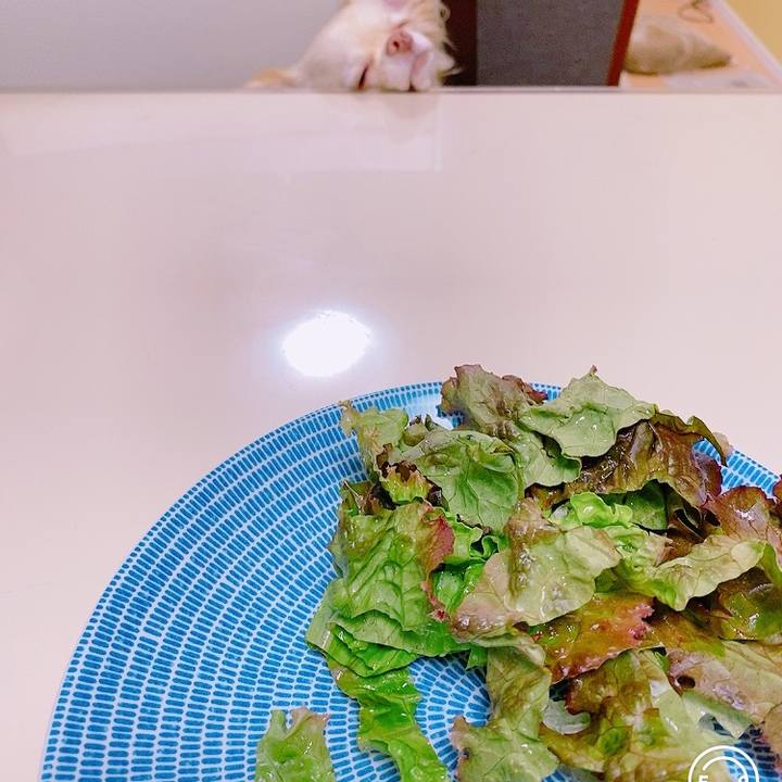 Ddf3a119 83af 4d00 b593 9ddb0fb66ce6 1625317135417