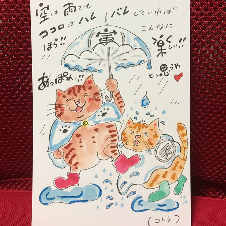 Ddf3aa8b fa85 44d1 9e1a e8c02ec25a57 1540299857471