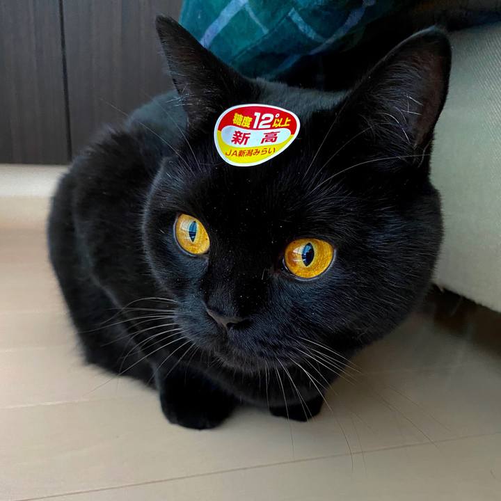 Ddf3c762 f3a2 47b2 b2f4 ef16d0a4d058 1602985683994