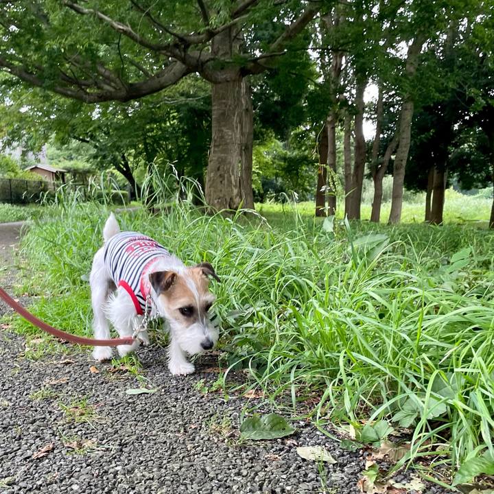 Ddf3df64 3fc9 4fc1 b116 cef5fdb7bceb 1626080005317