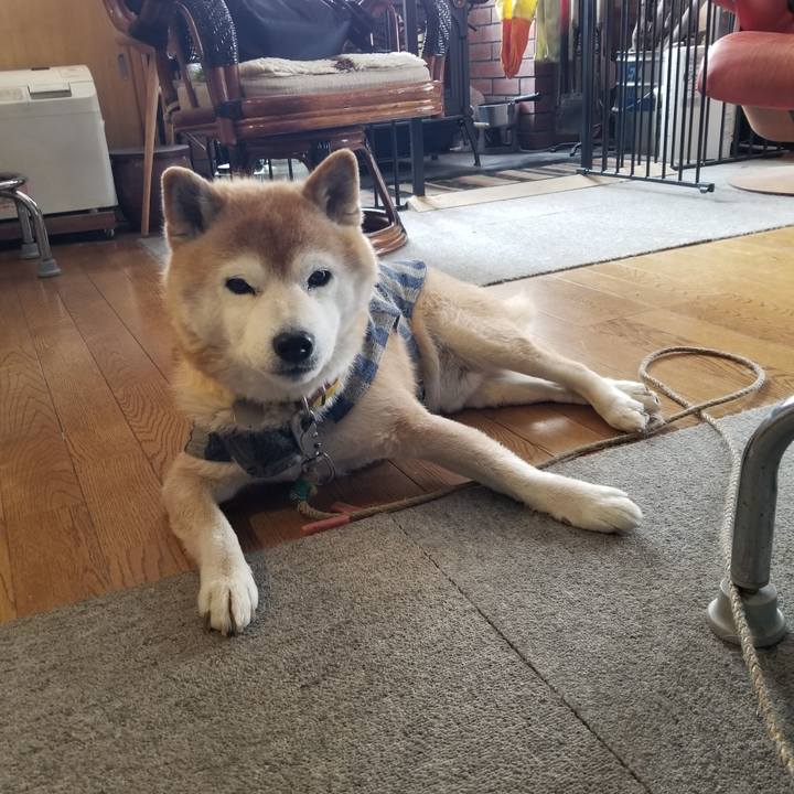 Ddf3f401 8f3c 46d7 8643 b81cbfc79c47 1676429162128