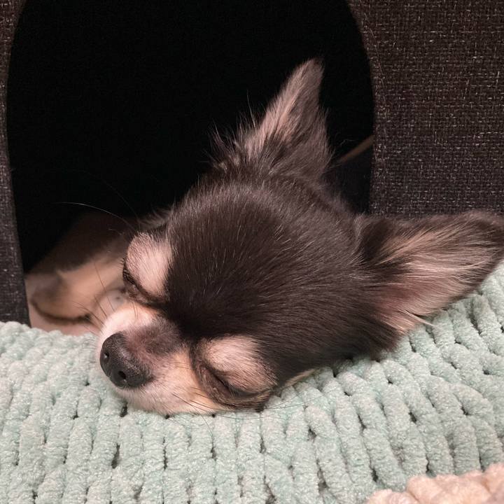 Ddf446a5 cc58 458d a962 044db9074e6f 1670161713343