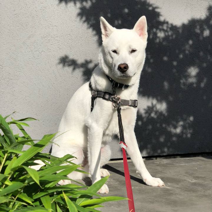 Ddf44998 2f62 4f4b 9283 e7a0e17f9bdb 1559171389326