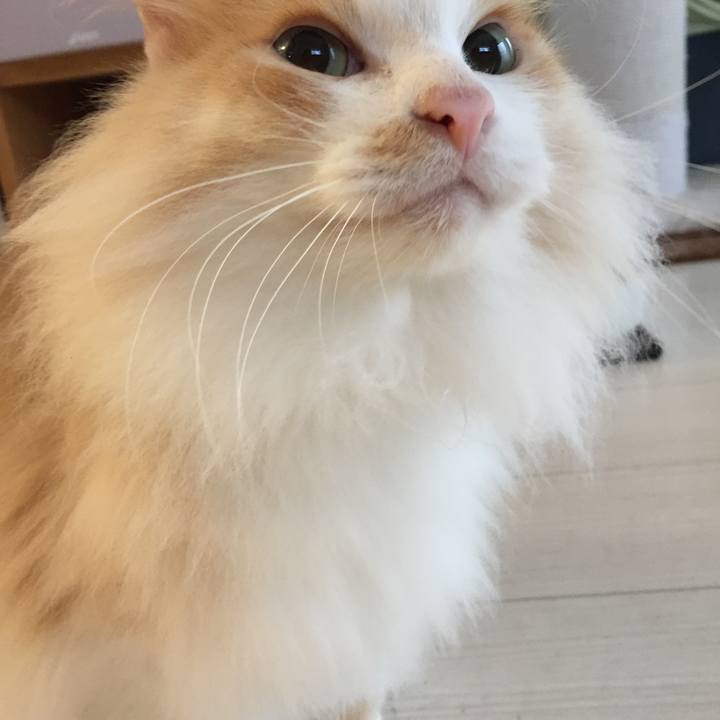 Ddf465ec 091c 4a8f a09e e7de7281f70b 1525988664585