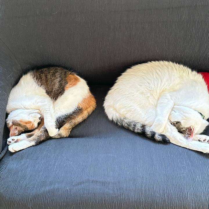 Ddf46d1a 38d4 459f 8cac 7898c8c2a24c 1683011293606