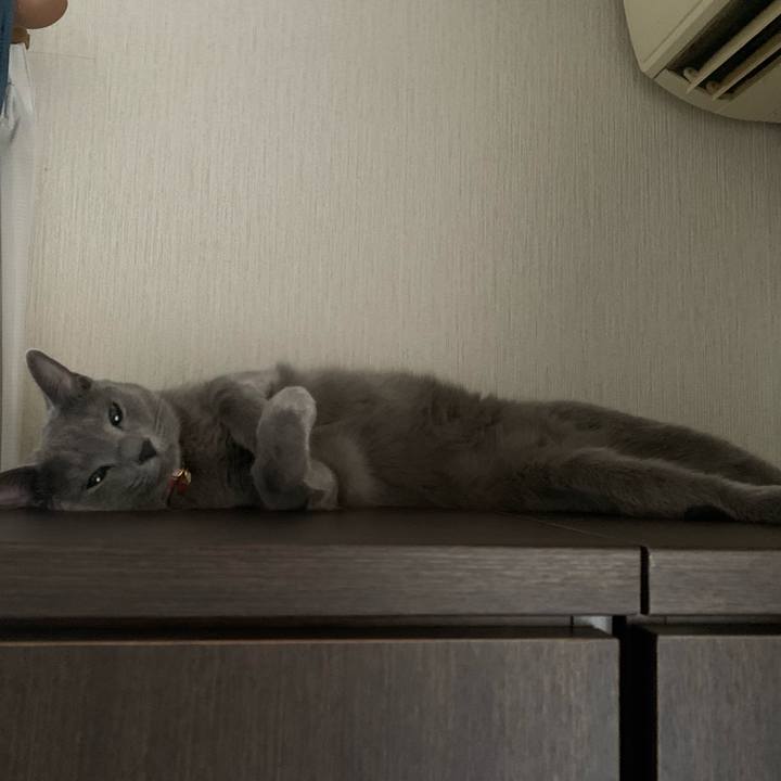 Ddf476ee 4acd 4eaa 8ec5 317f52bf71c6 1604122545213