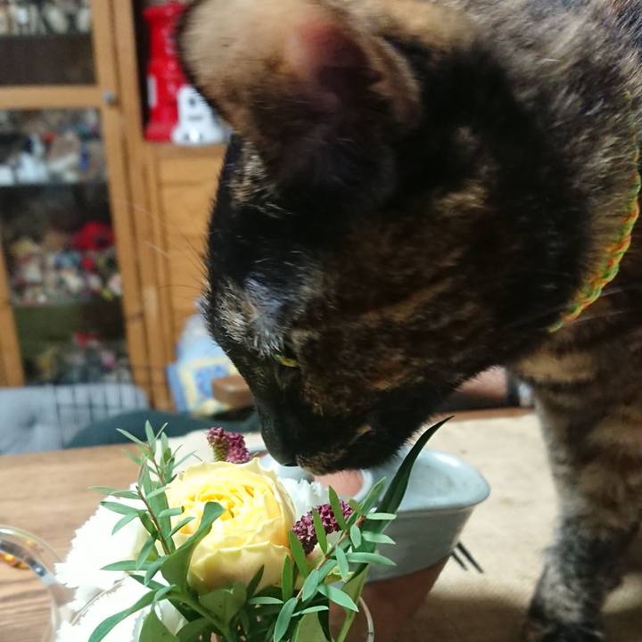 Ddf47f2d 889b 4a0e 974c ba369c6315b1 1539856144064