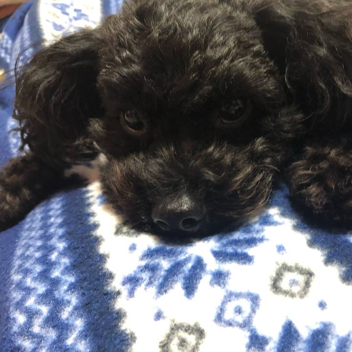 Ddf4a20c 5d02 41cc 9187 950978432776 1586003451786