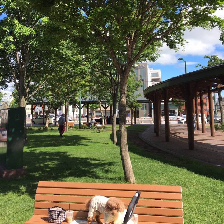 Ddf4d71c a92f 424b a68b 722d9ee22878 1591357390268