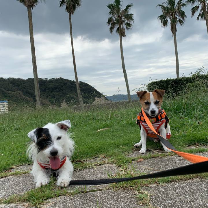 Ddf51cb2 3923 4475 9138 feef944cb705 1569031209698