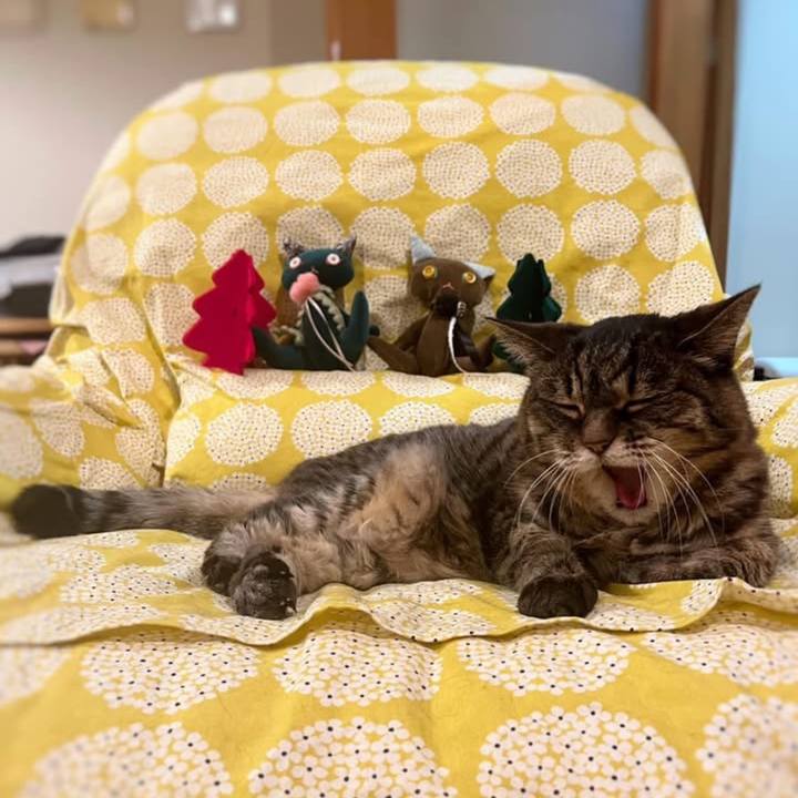 Ddf56706 5a4d 45c7 9cfd d8a2f858fa21 1766101183466