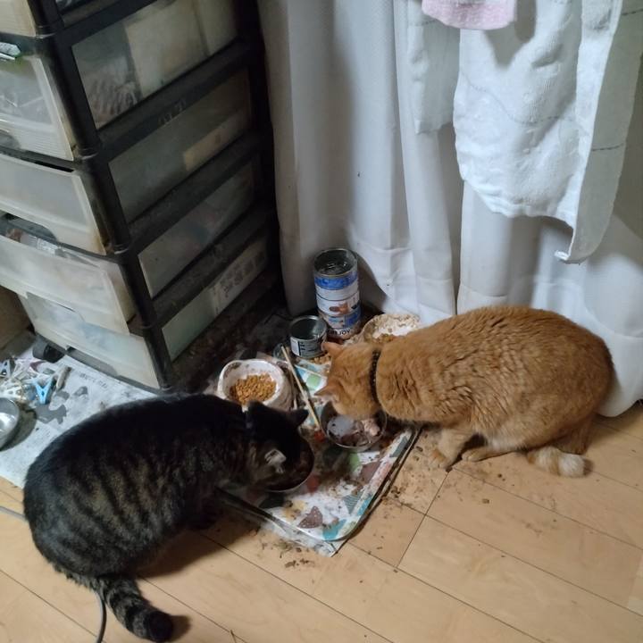 Ddf59ea4 7758 429e 9918 a14000d7d87a 1702980188425