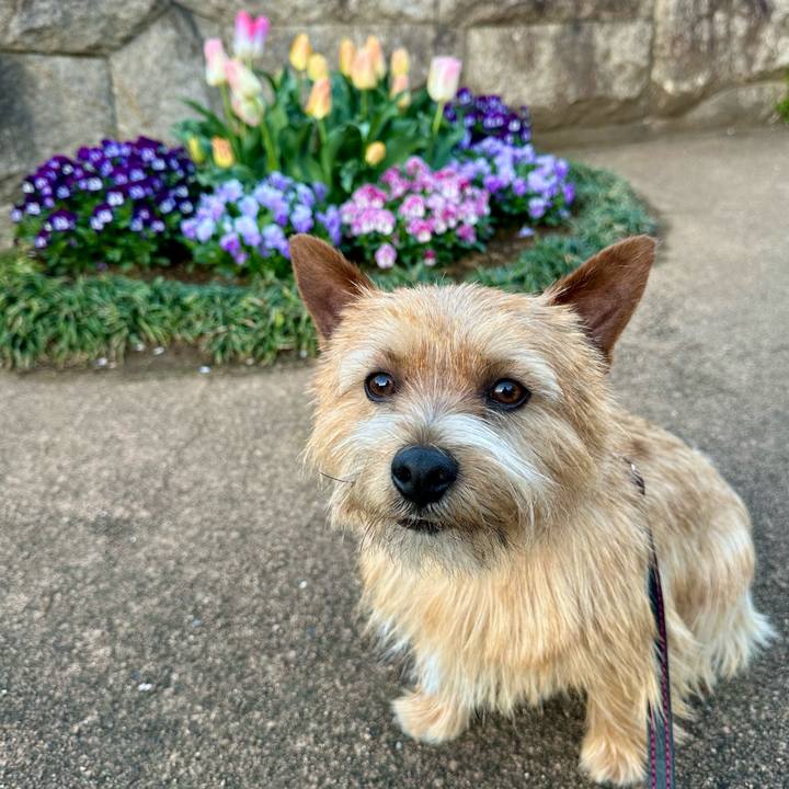 Ddf5d4a6 e378 490c b52d 219d2233d584 1743984887605