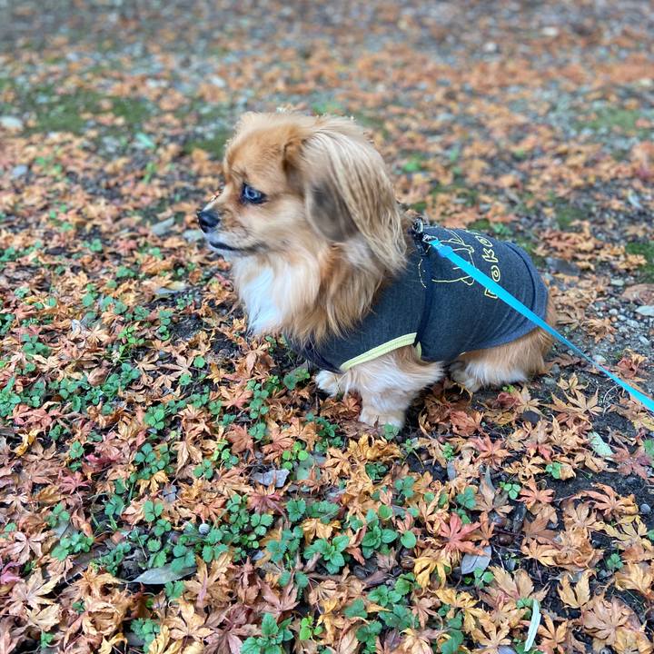 Ddf5dd7c b7cf 4ea7 a3de bbddb219dc7c 1576978719208