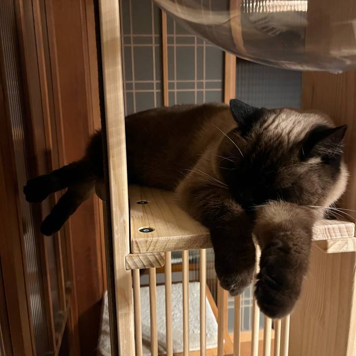 Ddf5e940 a4ce 4d38 8f52 af33744dbc8e 1705058620779