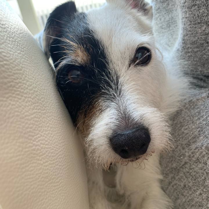 Ddf6085c 0c21 41d7 9a39 2402a1c96e91 1721437683030