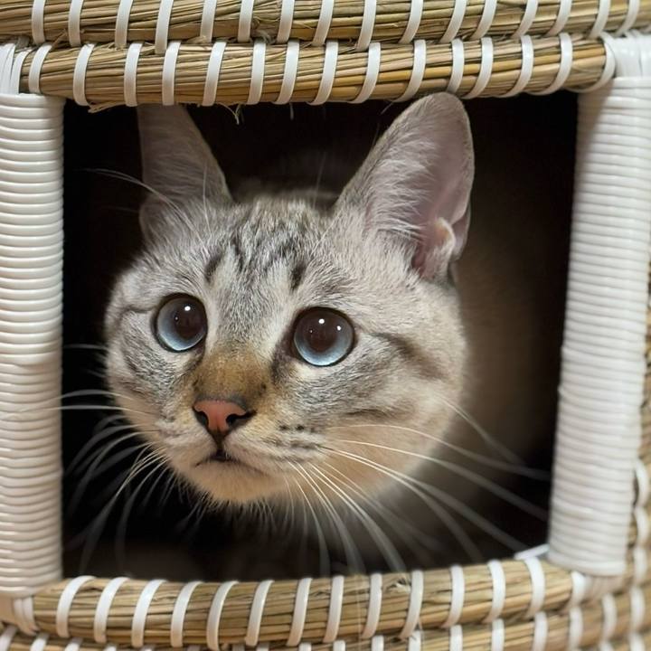 Ddf62d7f cb20 480c 85f0 96588a39c965 1766230671272