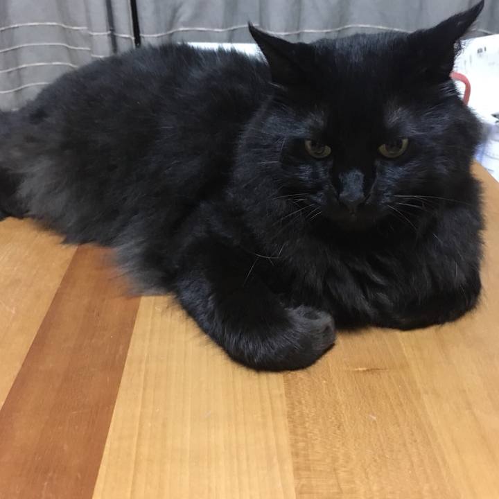 Ddf64370 c2e7 48b3 adf2 c8b206146f86 1533824958775