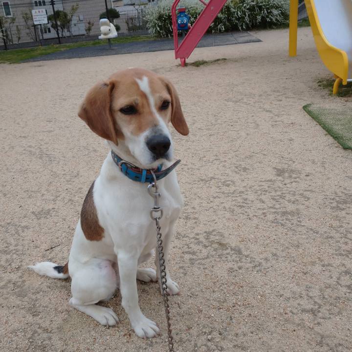 Ddf64a82 e49c 47a4 9557 7b26d9464f2a 1616397256011