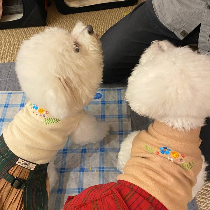 Ddf6526a d39b 4bef 8c52 73fde7d388ea 1638184198007