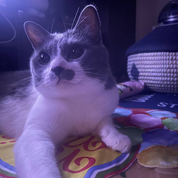 Ddf6790b cc35 41c5 bcf3 7a35651d0eaf 1691603944530