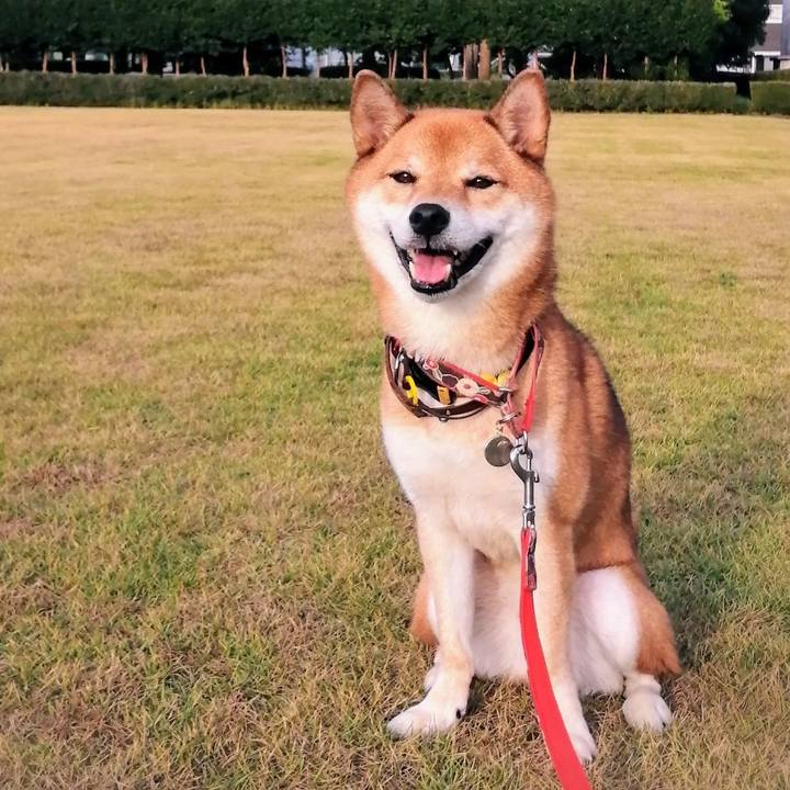 Ddf683a6 7aa6 4081 8020 7a2ff73b2960 1599120490068