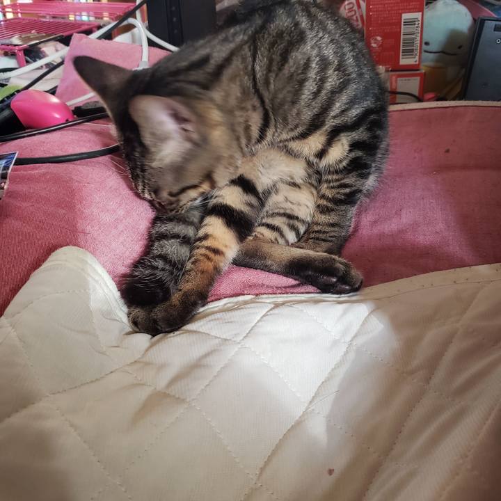 Ddf6999e fb37 47a5 be91 88046631dc3a 1542073785260