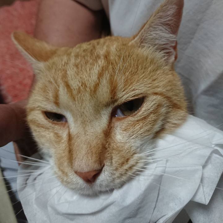 Ddf6ad79 22df 4dc8 b58c 6804c687d19c 1592126211141