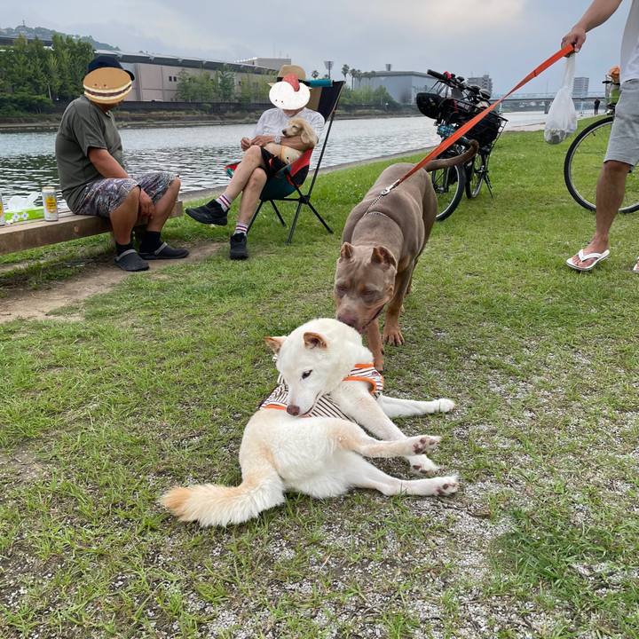 Ddf6c103 15ac 4128 b8a8 04553c973b7d 1655987722983