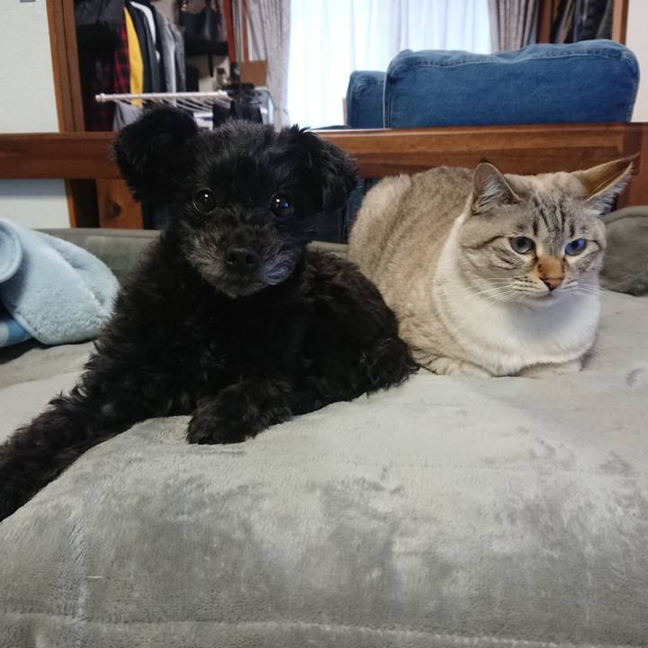 Ddf6c17f 42da 4c6d be16 dcebc372b0fd 1543737258996