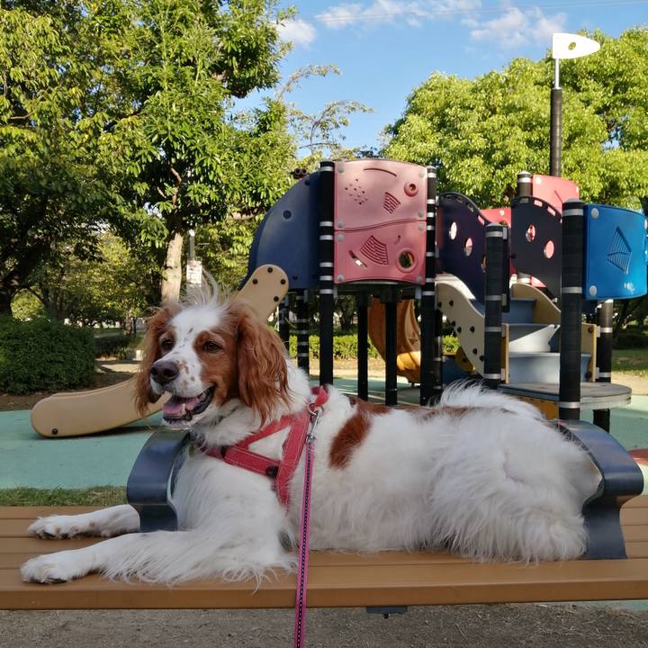 Ddf6c5af df69 40cf 8fe5 beca4945c321 1600083938650