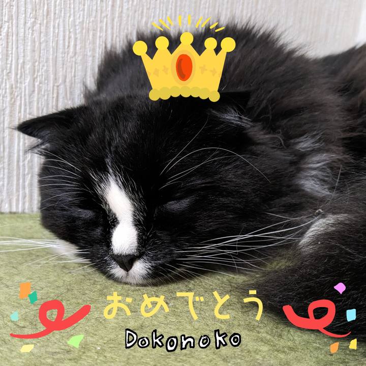 Ddf6d18c ee53 449b b2e7 e48809042508 1685964466544