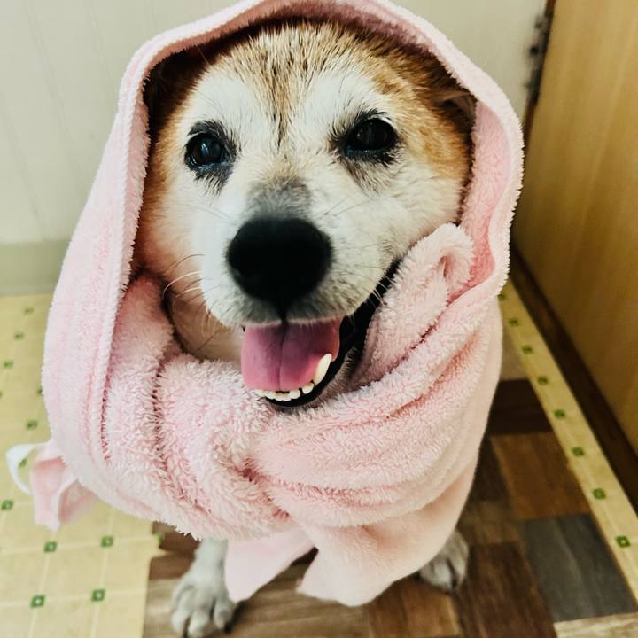 Ddf6db45 fabb 4f45 a43c fff2ffd15032 1756694682232