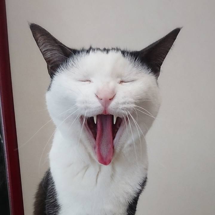 Ddf74d44 82a8 4746 8084 baee714becbd 1554523605310